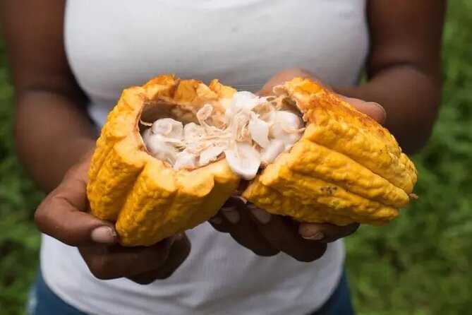 Rainforest Cycling Adventure in St. Lucia - Price and value: what $66.67 really buys you