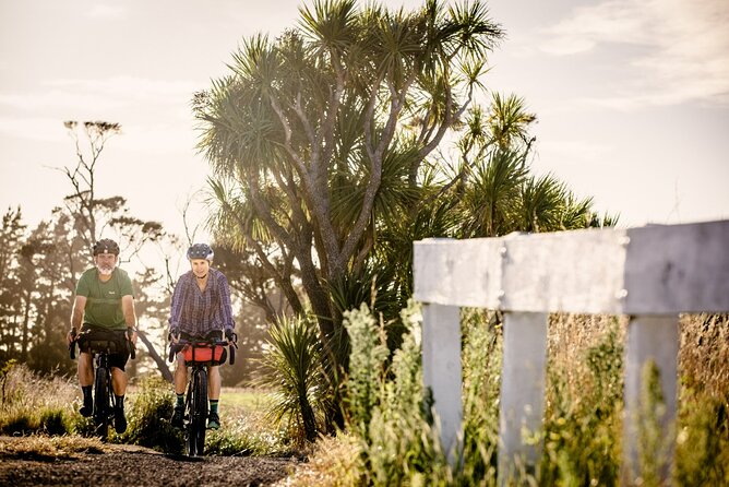 Remutaka Rail Trail eBike Explorer Cycle Tour - Rail trail riding through Pakuratahi Forest: what to expect