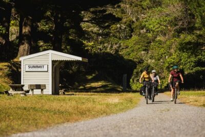 Remutaka Rail Trail Mountain Bike Explorer Cycle Tour - What You Actually Ride: The Remutaka Rail Trail Experience
