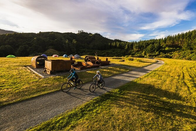 Remutaka Rail Trail Mountain Bike Explorer Cycle Tour - Food and Fuel: The Summit Picnic Setup