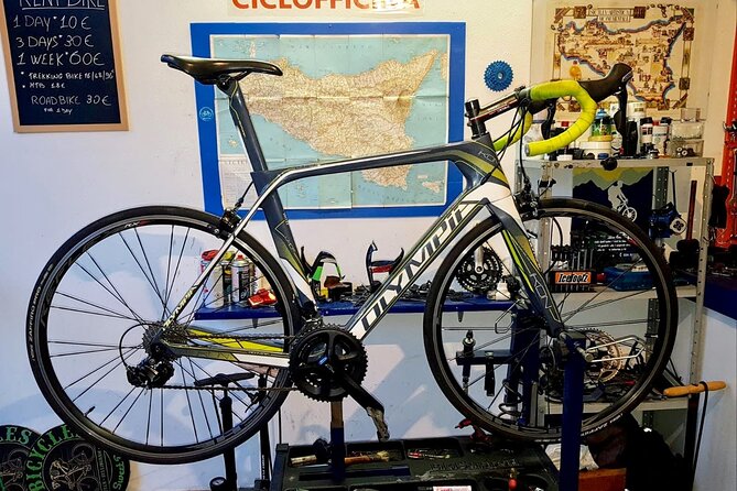 Rent a Carbon or Aluminum Road Bike in Sicily - Carbon vs aluminum in Palermo: choosing the right bike