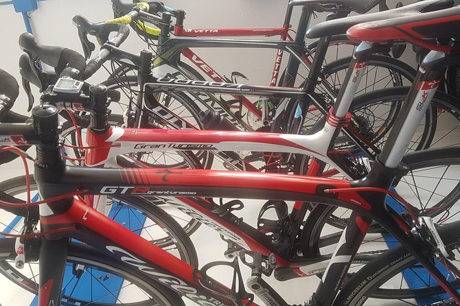 Rent road bike - Why This Full-Day Road Bike Rental Works So Well in Palermo