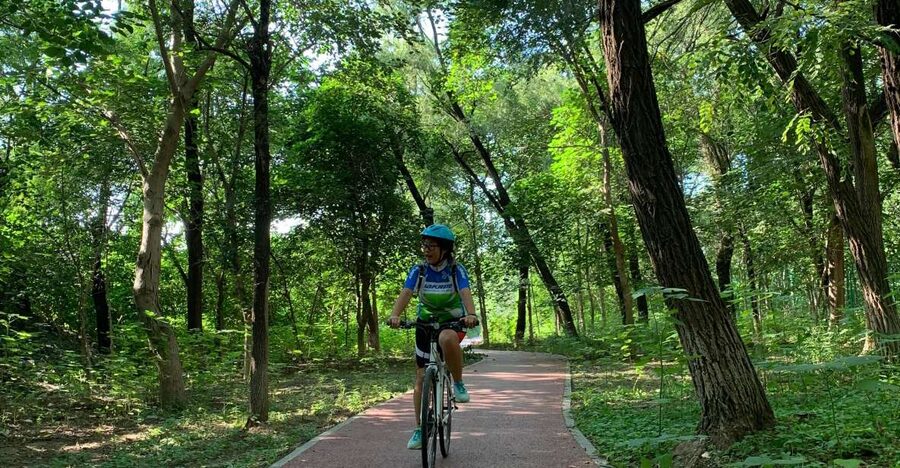 Riverside Cycling With A Native - Who should book this riverside cycling experience?