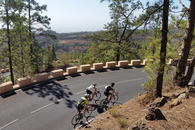 Road Cycling Tenerife - Teide Route - Teide Route Overview: 105 km, but it’s the climb that runs the show