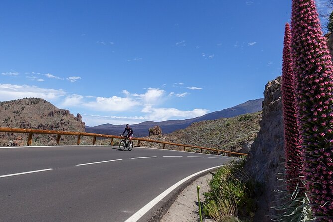 Road Cycling Tenerife - Teide Route - Getting Your Bike Set: carbon comfort plus real support