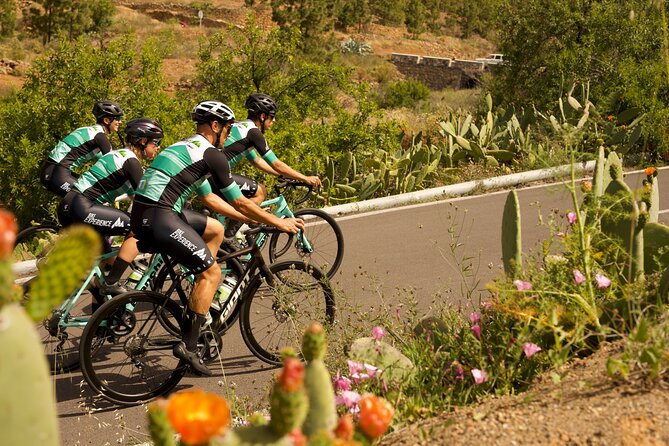 Road Cycling Tenerife - Vilaflor Route - Why the Vilaflor Climb Works If You Don’t Have a Car