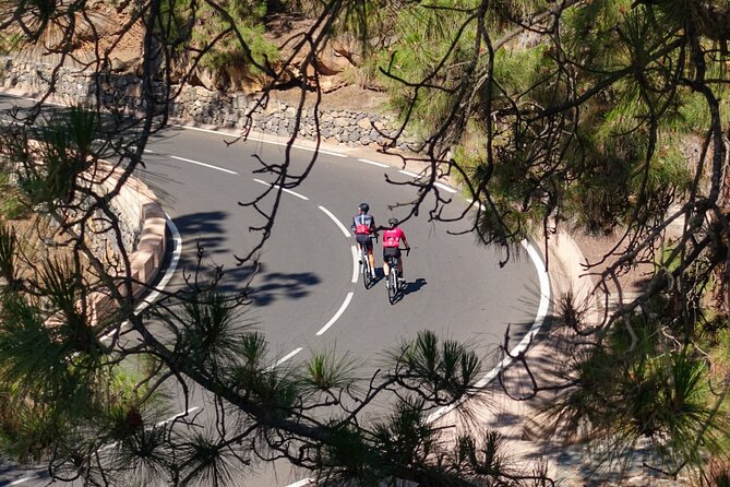 Road Cycling Tenerife - Vilaflor Route - Vilaflor Stop: Highest Town Hall in Spain (and What to Do With 30 Minutes)