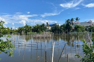 Rural Hoi An Cycling, Cooking Class at Organic Farm - Thanh Đông Organic Garden Farm: Basket Boat Rowing and Farmer Time