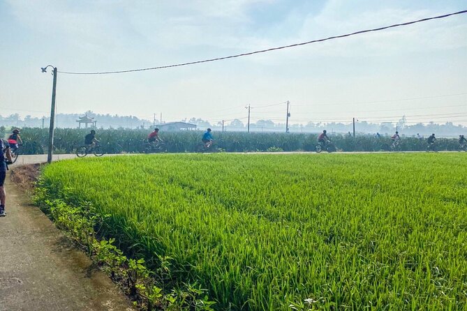 Saigon Countryside Cycling Adventure - Price and value: what $99 actually buys you in the real world