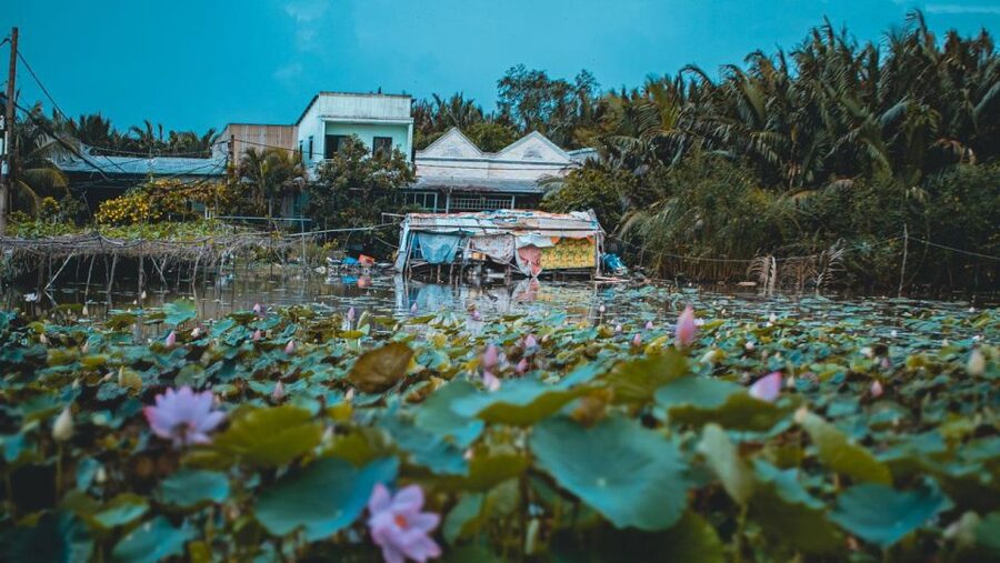 Saigon's Last Mekong Countryside Cycle Tour-Ho Chi Minh City - Food, fruit tastings, and drinks: plan your appetite