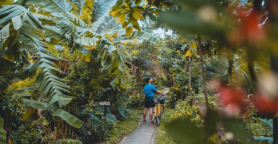 Saigon's Last Mekong Countryside Cycle Tour-Ho Chi Minh City - Bikes, safety, and comfort: your simple checklist