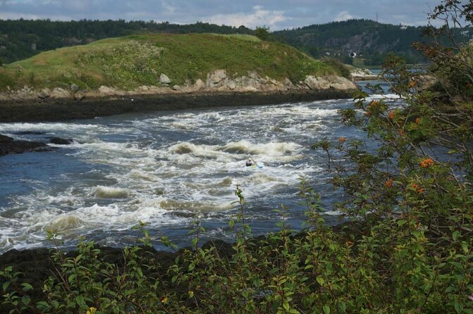 Saint John Highlights & History Cycling Tour - Key points you’ll care about