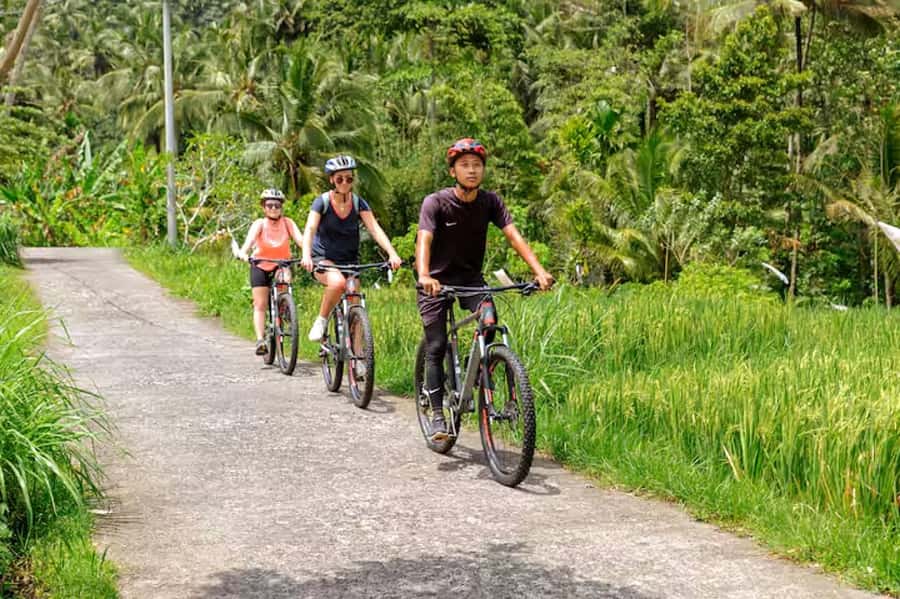 Scenic Cycling Tours Through Bali's Sidemen Countryside - Sidemen Valley by bike: the countryside rhythm you came for