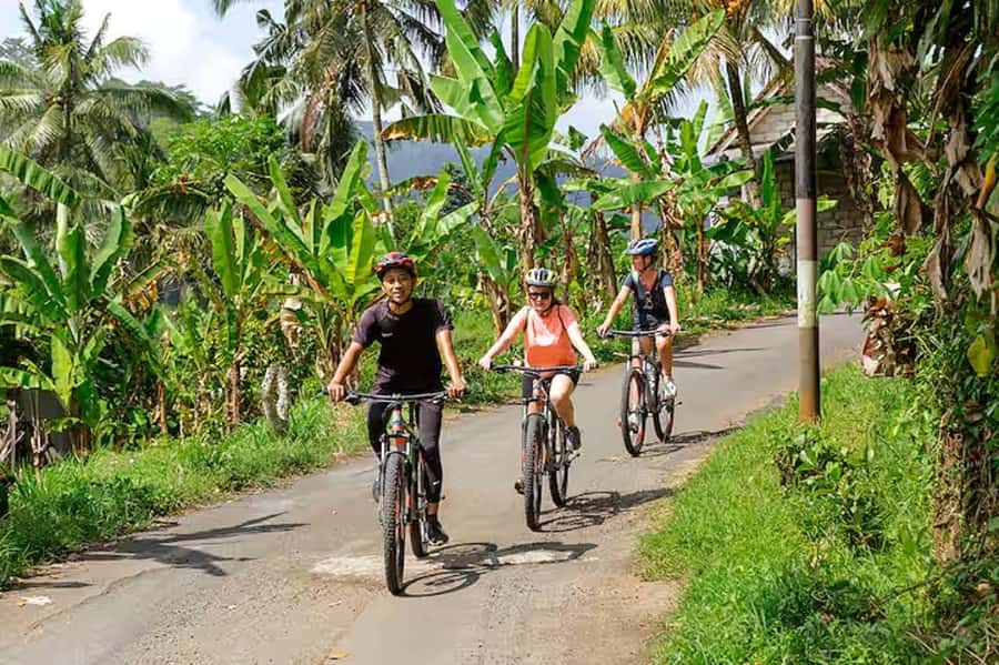 Scenic Cycling Tours Through Bali's Sidemen Countryside - Rice paddies, villages, and a temple stop: cultural context you can feel