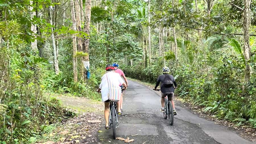 Scenic Cycling Tours Through Bali's Sidemen Countryside - Arak-making lesson + Balinese coffee: small stops with big meaning