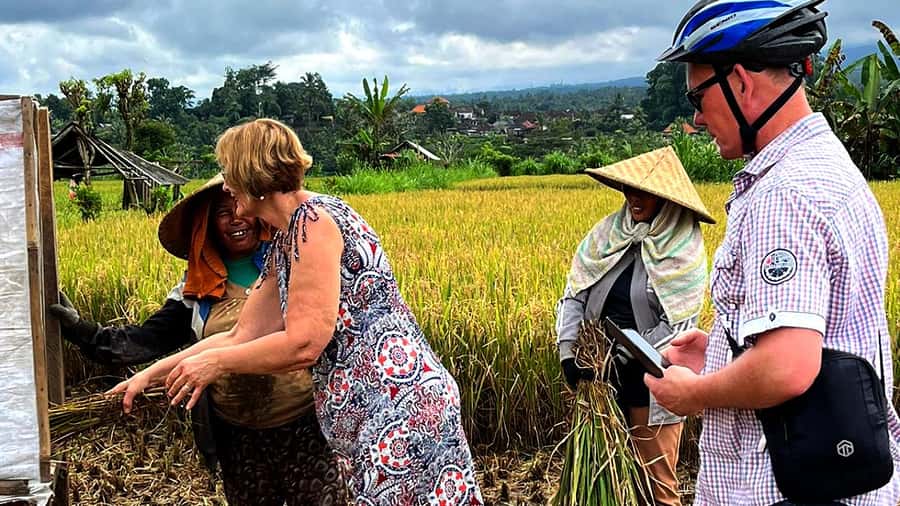 Scenic Cycling Tours Through Bali's Sidemen Countryside - Bikes, terrain, and who this tour suits