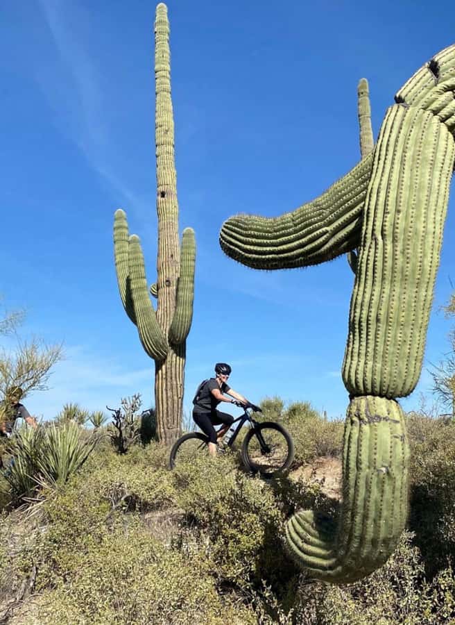 Scottsdale: Guided Mountain Bike Tour through the Desert - Key highlights at a glance