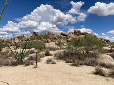 Scottsdale: Guided Mountain Bike Tour through the Desert - Meeting at Pima Dynamite Trailhead (and getting rolling fast)