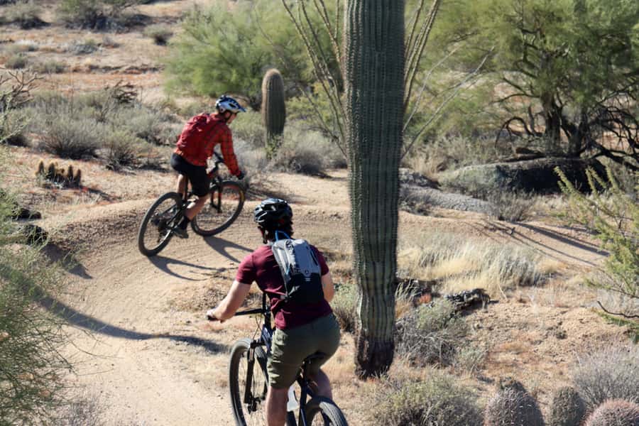 Scottsdale: Guided Mountain Bike Tour through the Desert - Who this tour is best for (and who should rethink)