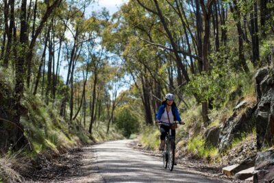 Self-Guided Gourmet Culinary Cycling Day Tour From Beechworth - Getting started at Old Beechworth Gaol and choosing your bike