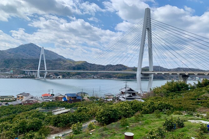 Shimanami Kaido, 1Day Relaxed Island Hopping Cycling Tour - Ikuchi Island: lemons, citrus orchards, and art-island vibes