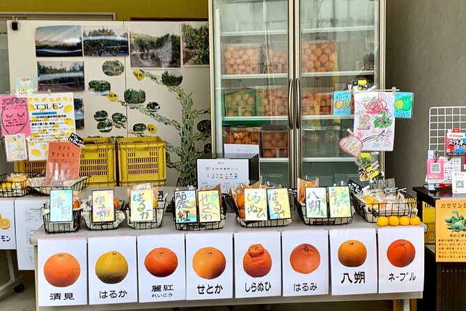 Shimanami Kaido, 1Day Relaxed Island Hopping Cycling Tour - The ferry back to Onomichi and finishing around 18:00
