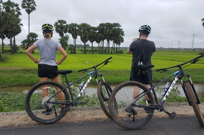 Short Cycling at Countryside - Paddy fields, livestock, and what makes the scenery worth slowing down for