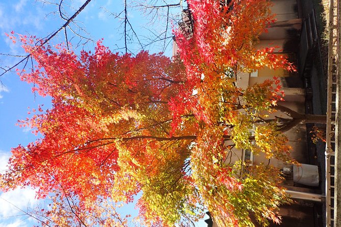 Short Morning Cycling Tour in Hida - Your Guide Matters: Nanami, Marino, Ryoto, Miyuki, Akiko