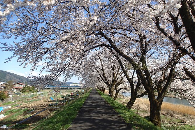 Short Morning Cycling Tour in Hida - Who This Tour Fits Best (and Who Might Feel Restless)
