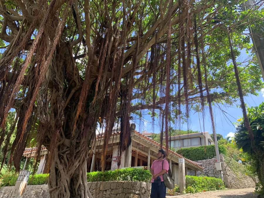 Shuri+Naha: Cycling Tour Explore Water Heritage with E-Bike - Riverside everyday Okinawa: where homes share space with history