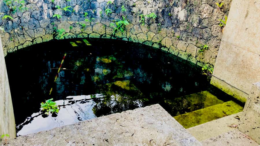 Shuri+Naha: Cycling Tour Explore Water Heritage with E-Bike - Stone steps, perennial springs, and the sound of healing water