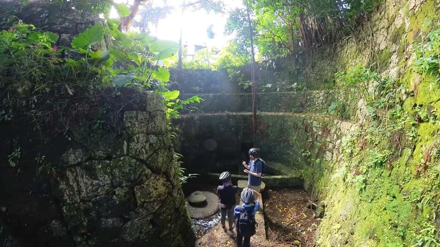 Shuri+Naha: Cycling Tour Explore Water Heritage with E-Bike - Ryukyu royal-court sweets at Shuri Castle Blue Seal Soft Shop