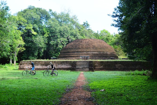 Sigiriya Cycle Tour: Explore Village Life in Sigiriya & Enjoy a Village Lunch - Sigiriya by Bicycle: What the Route Really Delivers
