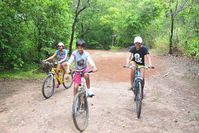 Sigiriya Cycle Tour: Explore Village Life in Sigiriya & Enjoy a Village Lunch - Animal-Friendly Choice: No Bullock-Cart Cruelty Stops