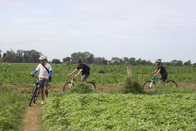 Silk Island Cycling Adventure & lunch with locals - Price and value: why $45 feels fair