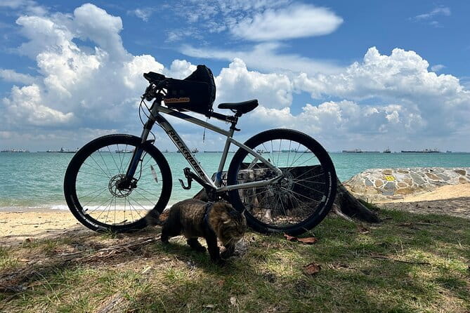 Singapore Beach City Cycling Tour - Stop 2: Marina Barrage and the Marina Bay Contrast