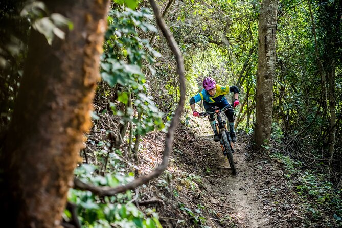 SINGLETRACK MOUNTAIN BIKE - Guided through the jungle - Your ride structure: timing, private pacing, and the one signature stop