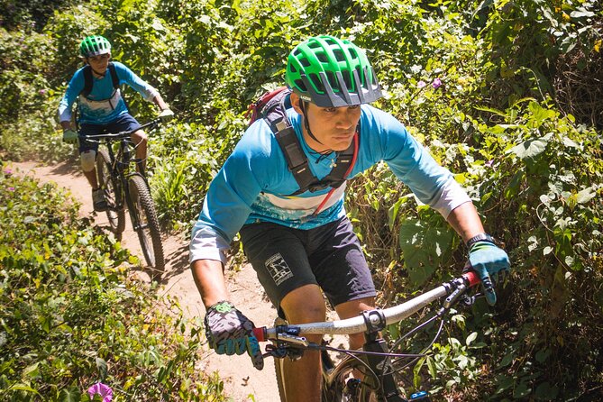 SINGLETRACK MOUNTAIN BIKE - Guided through the jungle - Tips to make the day feel easy (even if the trail isn’t)