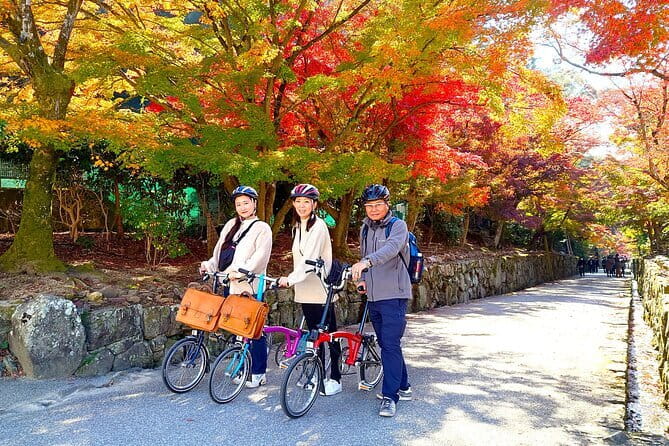 Slow Cycling Tour at Uji's Matcha Green Tea Fields and Heritage - Key highlights you’ll feel on the ride