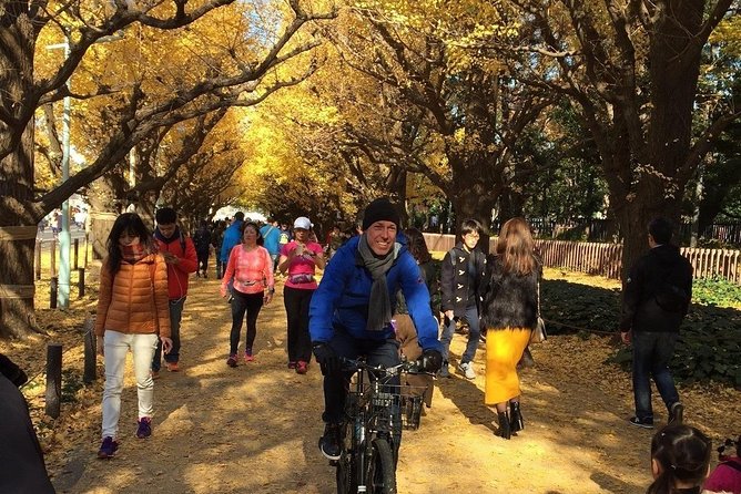 Small Group Cycling Tour in Tokyo - Aoyama Cemetery: history you don’t get from the subway map