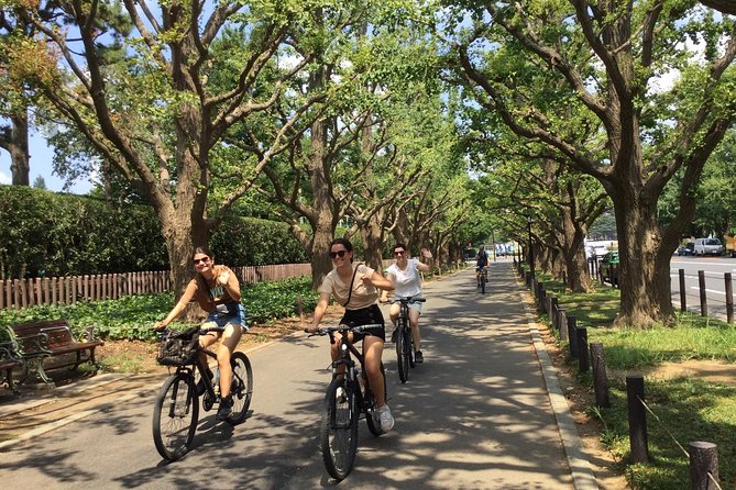 Small Group Cycling Tour in Tokyo - Cycling near the Imperial Palace moat: history on slow wheels