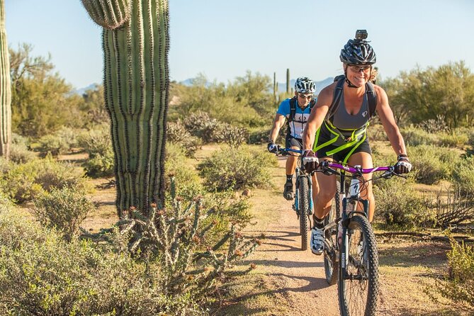 Sonoran Desert Guided Mountain Bike Tour - Quick take: what’s special here