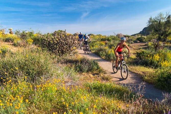 Sonoran Desert Guided Mountain Bike Tour - Sonoran Desert mountain biking in Scottsdale: the vibe and the value