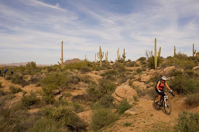 Sonoran Desert Guided Mountain Bike Tour - The ride plan: how guided trail time works on these routes