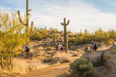 Sonoran Desert Guided Mountain Bike Tour - Where you start: Pima Dynamite Trailhead and what that means for your day