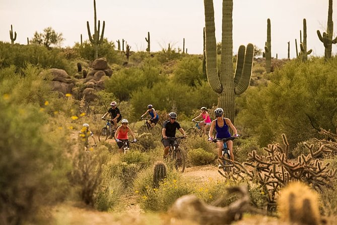 Sonoran Desert Guided Mountain Bike Tour - Included gear: bikes, helmet, gloves, water, and snacks
