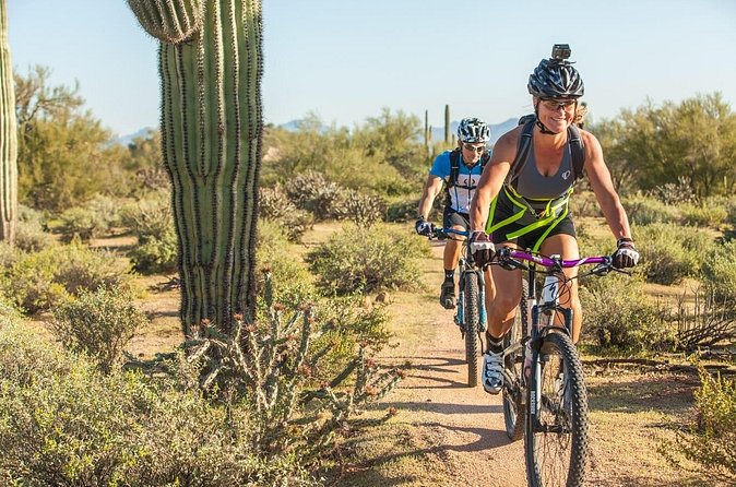 Sonoran Desert Guided Mountain Bike Tour - The views: what “70-mile desert views” feels like