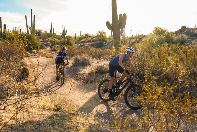 Sonoran Desert Guided Mountain Bike Tour - Guides and coaching: who runs the show and why it matters