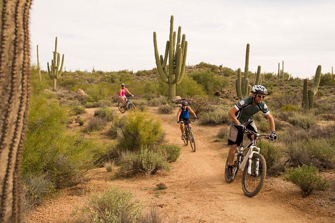 Sonoran Desert Guided Mountain Bike Tour - Skill levels and trail pacing: who this tour suits best