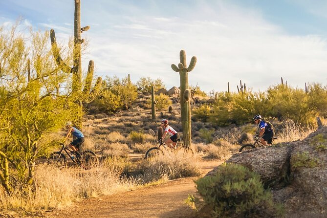 Sonoran Desert Guided Mountain Bike Tour - Where you start: Pima Dynamite Trailhead and what that means for your day